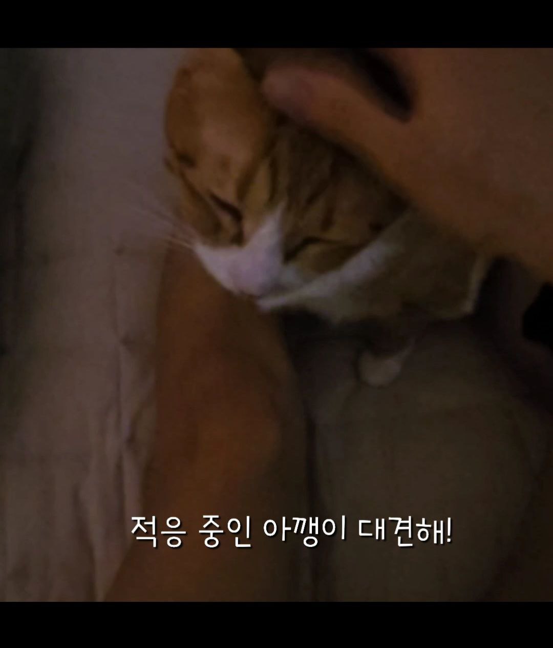 photo_2024-09-30_18-44-35 (5).jpg