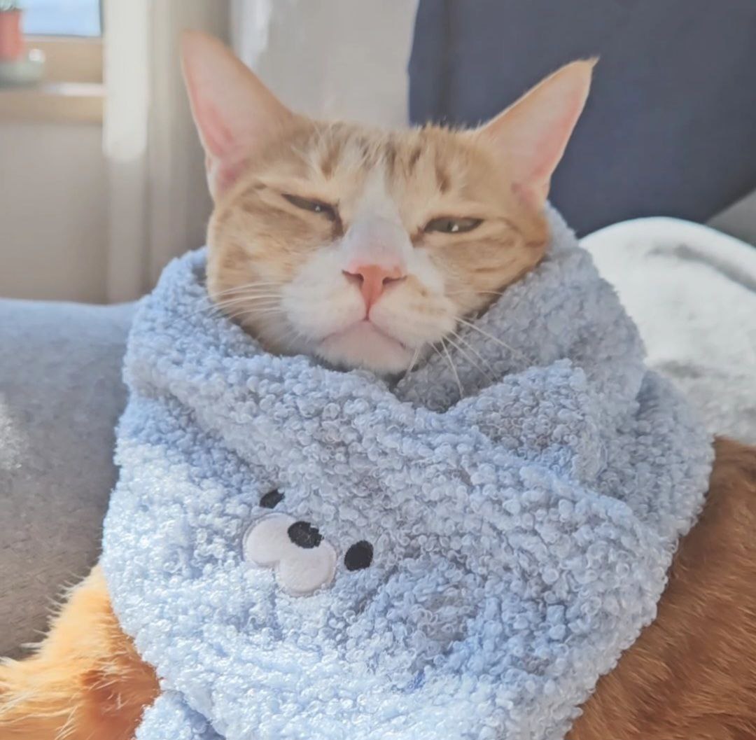 photo_2024-04-30_00-02-45 (4).jpg