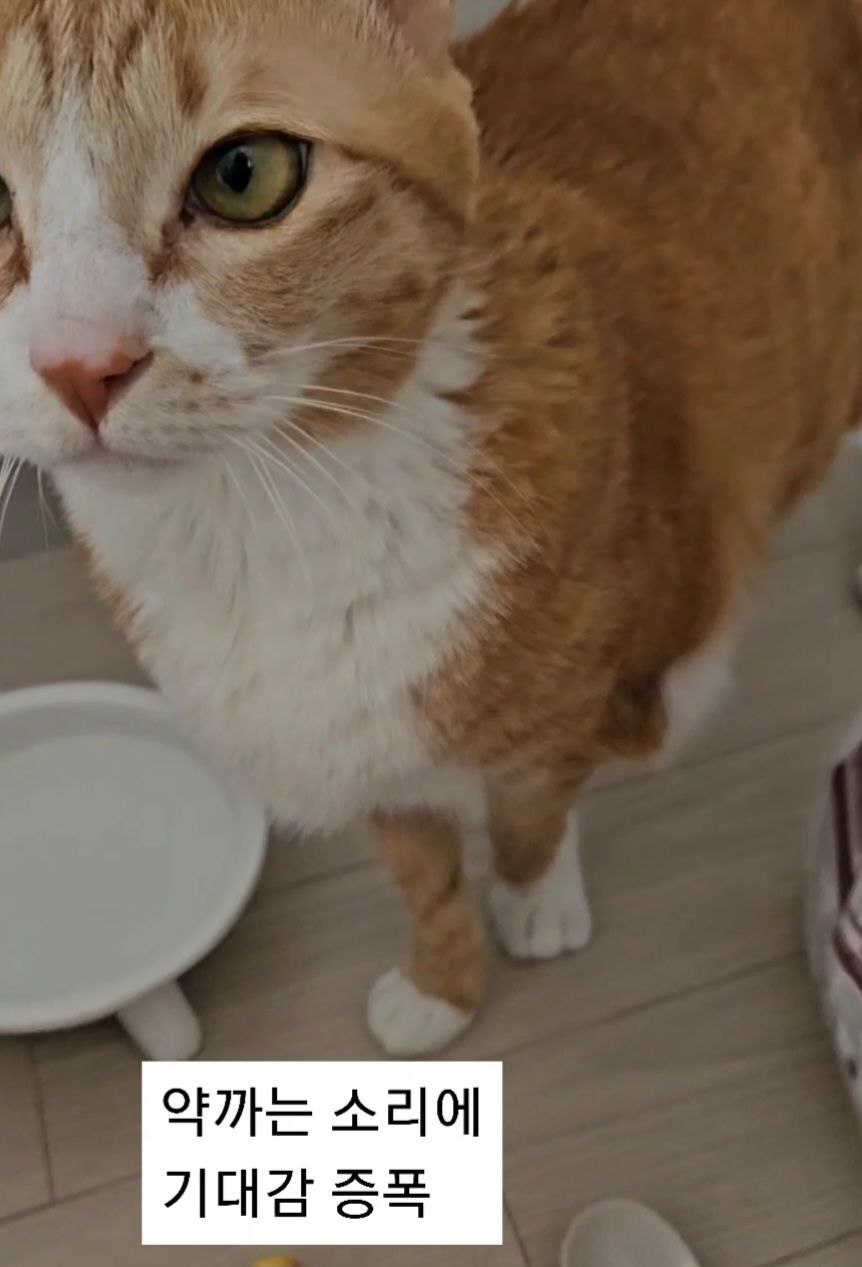 photo_2025-05-23_13-51-12 (2).jpg