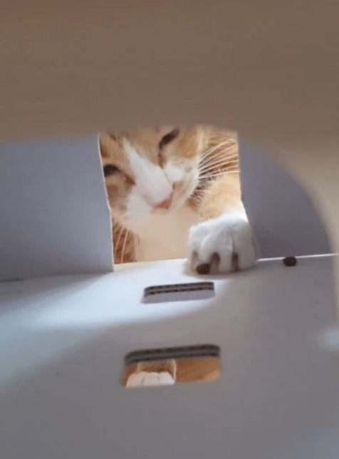 photo_2023-10-18_15-13-29 (3).jpg