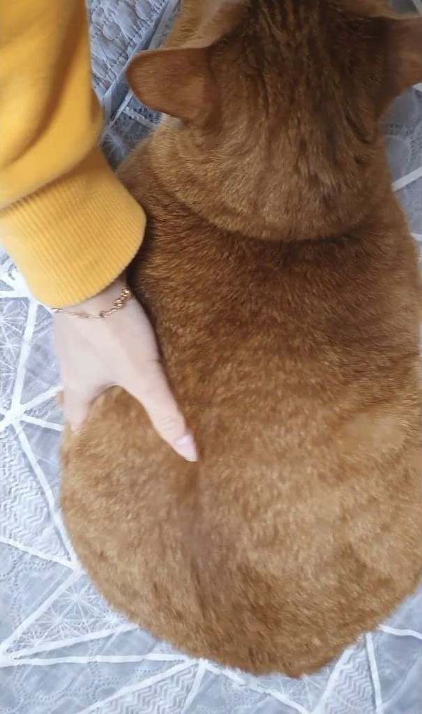 photo_2022-12-27_22-48-36 (2).jpg