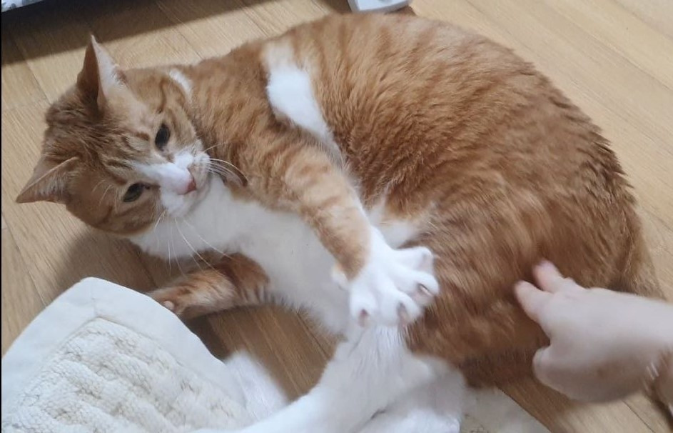 photo_2023-04-20_11-37-26 (4).jpg