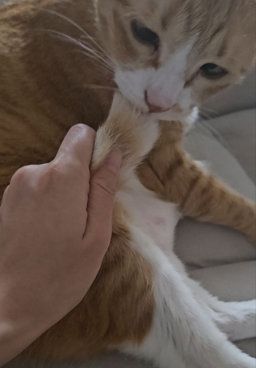 photo_2025-08-20_15-52-15 (2).jpg