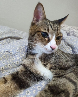 photo_2025-06-17_23-16-24 (2).jpg