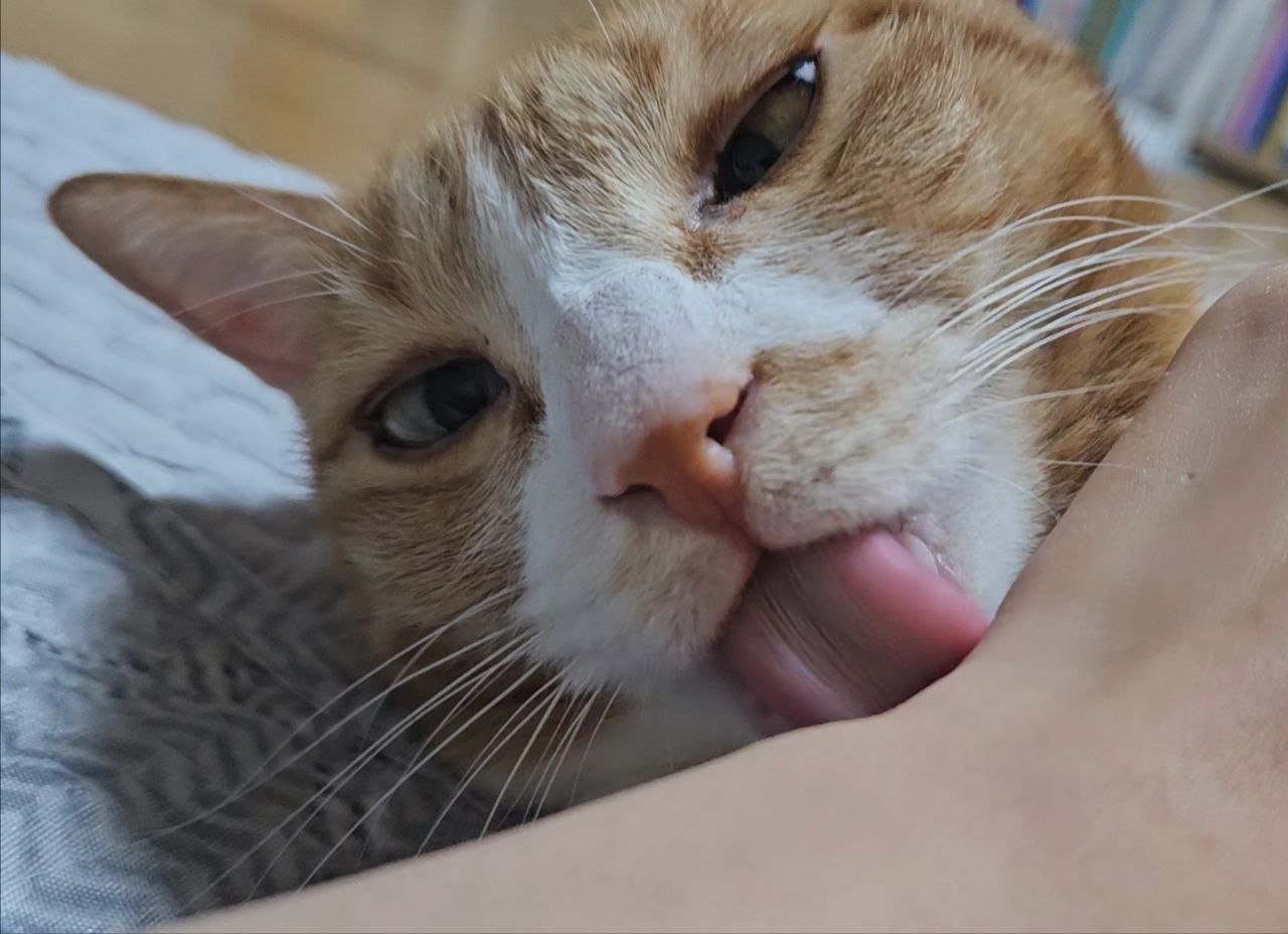 photo_2023-11-20_18-18-00 (3).jpg