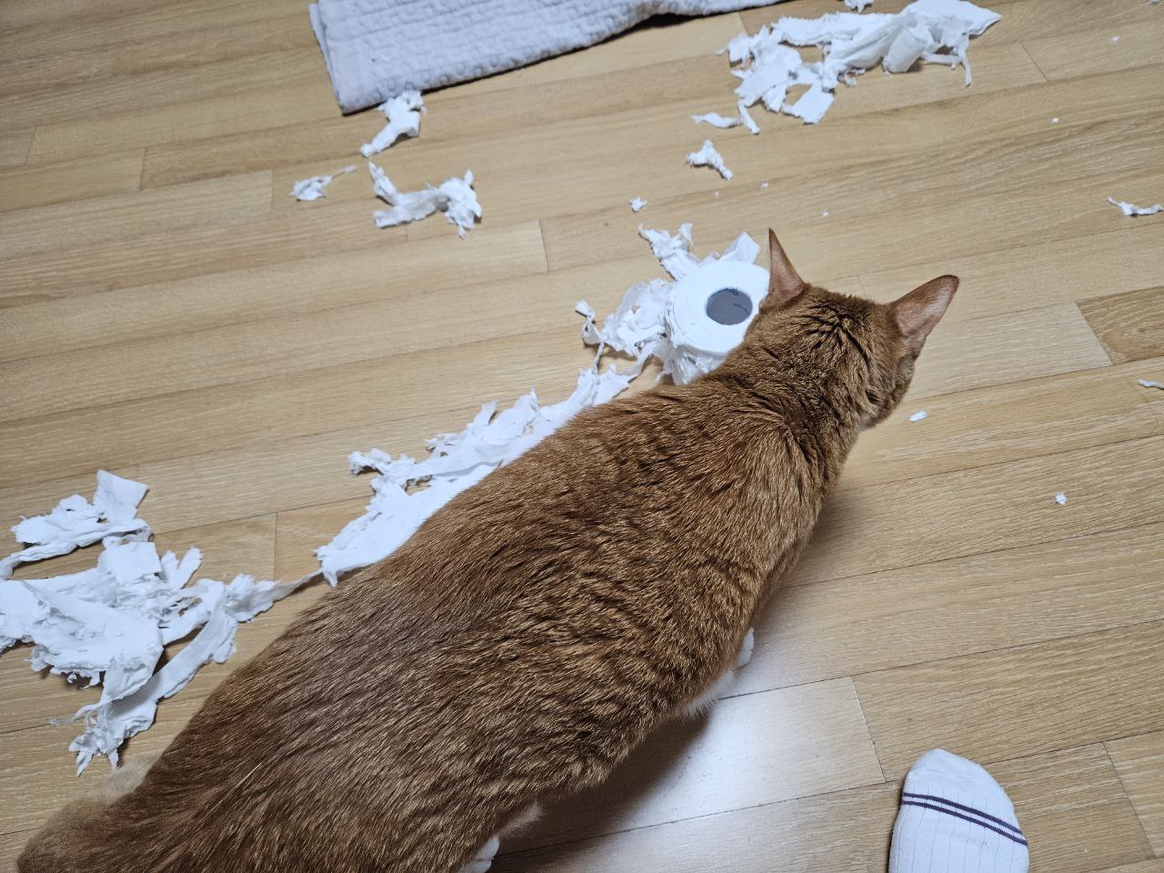 photo_2023-12-28_22-57-15 (3).jpg