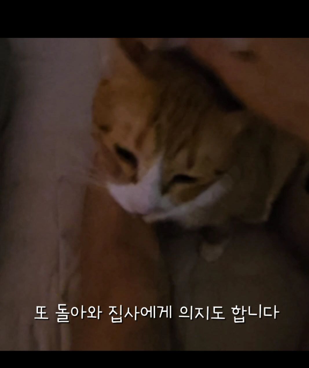 photo_2024-09-30_18-44-35 (4).jpg