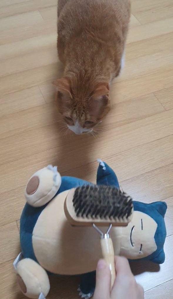 photo_2023-09-07_22-56-41 (2).jpg