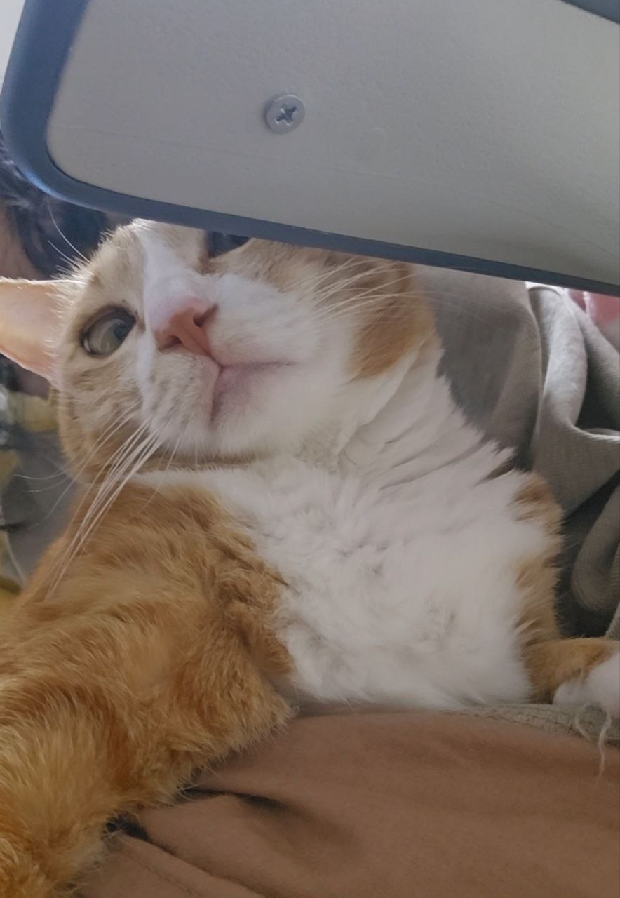 photo_2025-05-12_17-18-48 (2).jpg