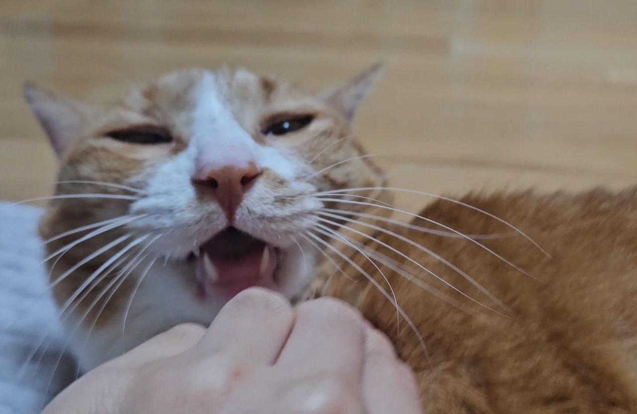 photo_2023-11-20_18-18-00 (2).jpg