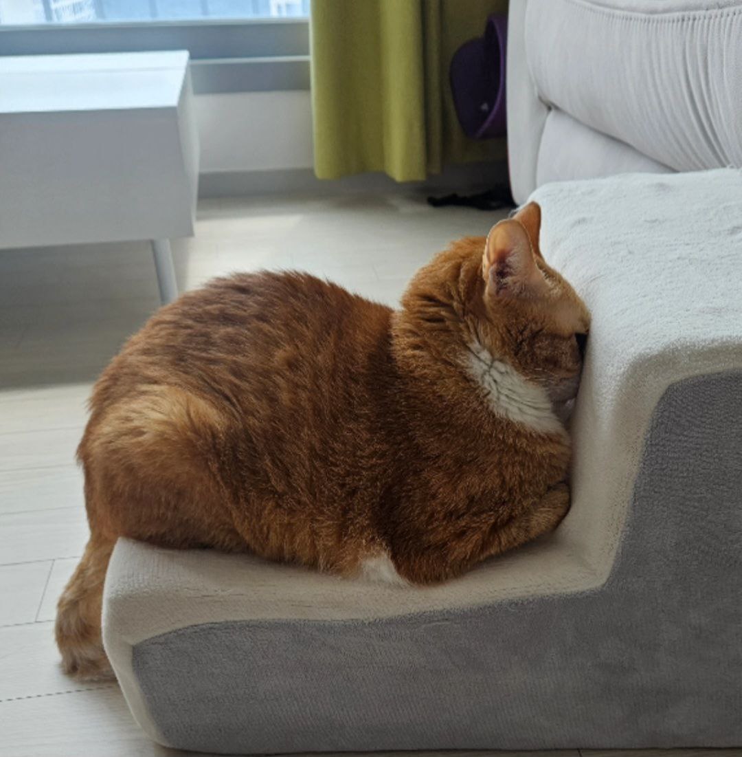 photo_2025-09-16_22-36-52 (2).jpg