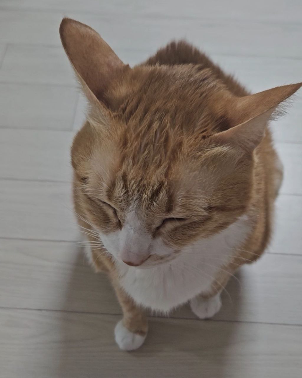 photo_2025-04-14_19-33-56 (2).jpg