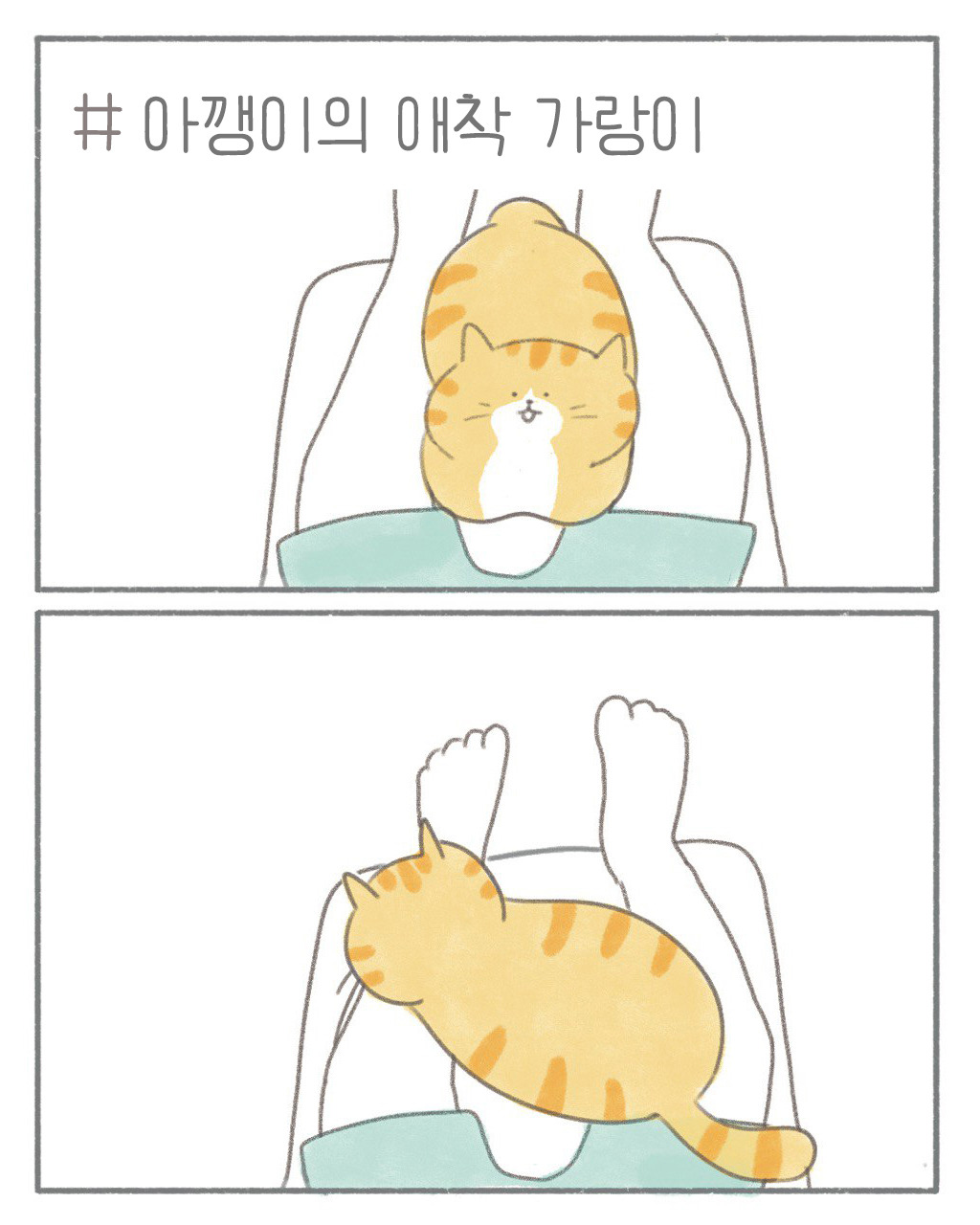 카지노 게임 추천