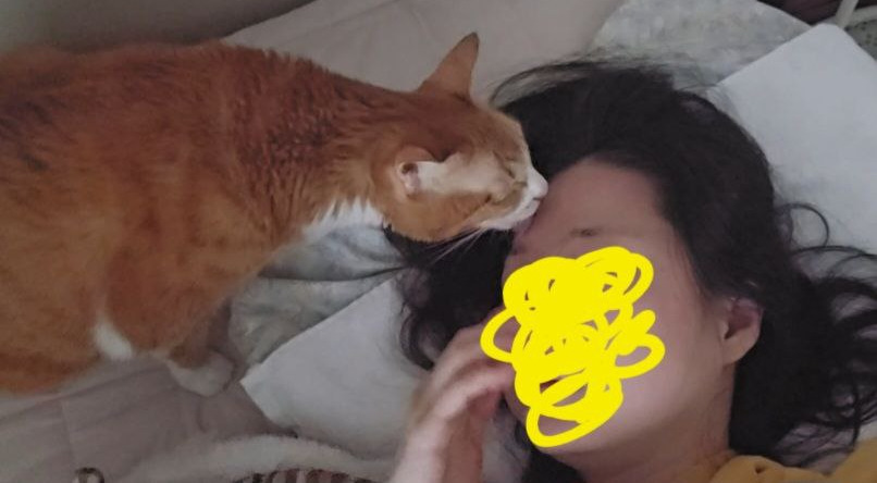 photo_2025-08-27_21-22-47 (2).jpg