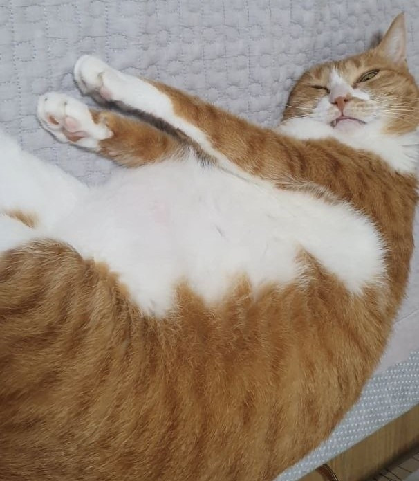 photo_2023-06-15_22-36-22 (4).jpg