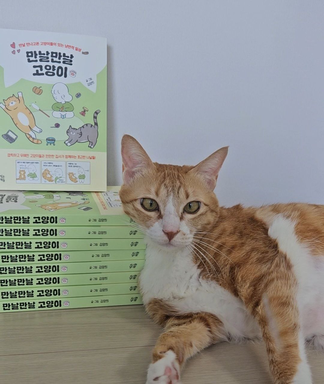 photo_2025-05-30_16-00-15 (2).jpg