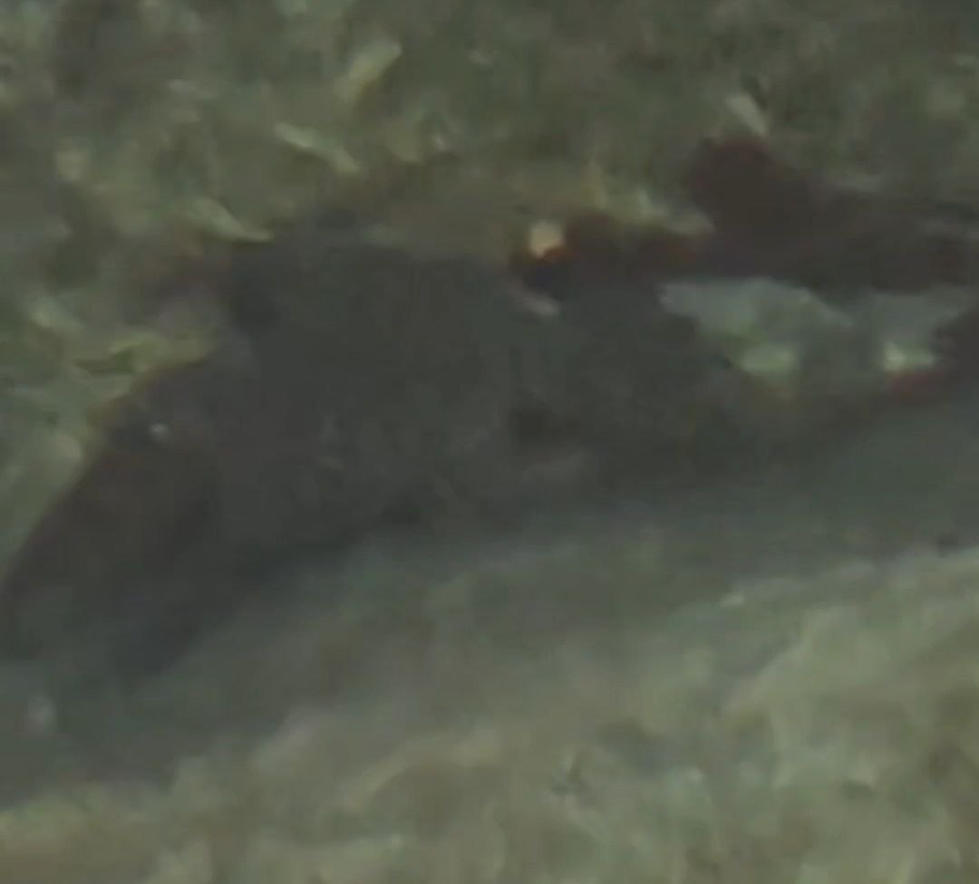 photo_2025-07-24_23-09-35 (2).jpg