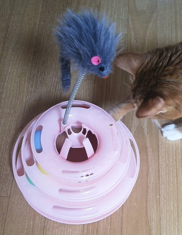 photo_2023-06-02_00-51-32 (2).jpg