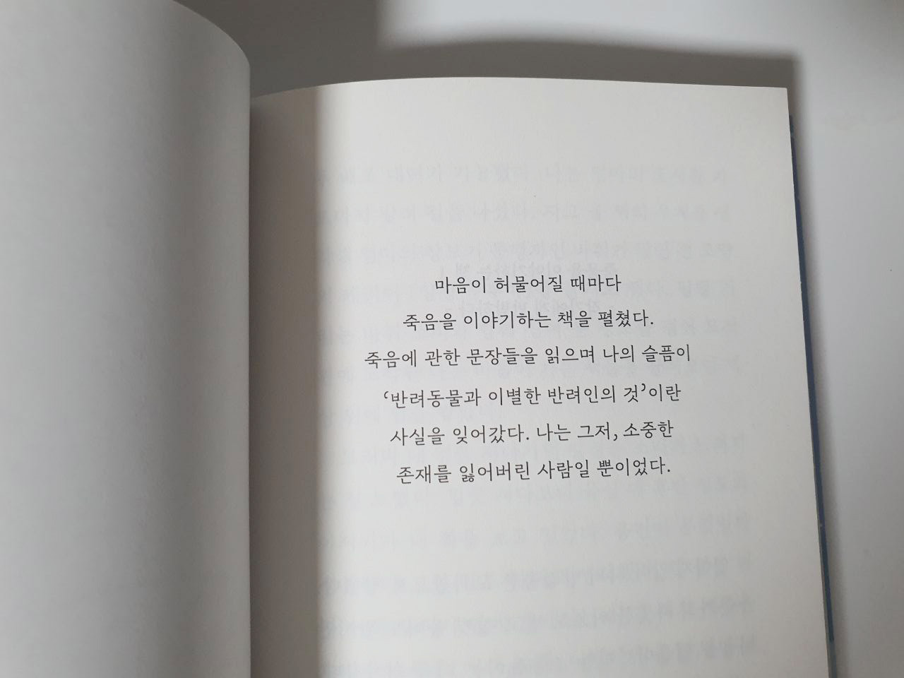 photo_2022-04-11_00-10-11 (2).jpg