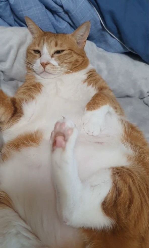 photo_2023-11-09_17-30-42 (3).jpg