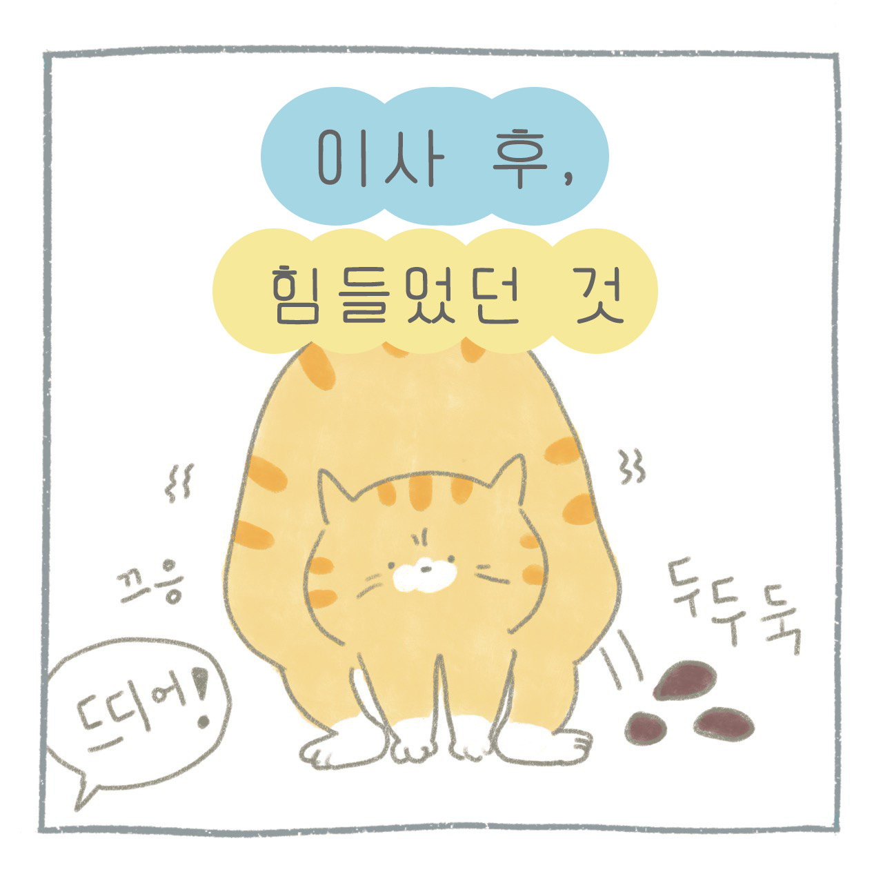 표지진짜.jpg