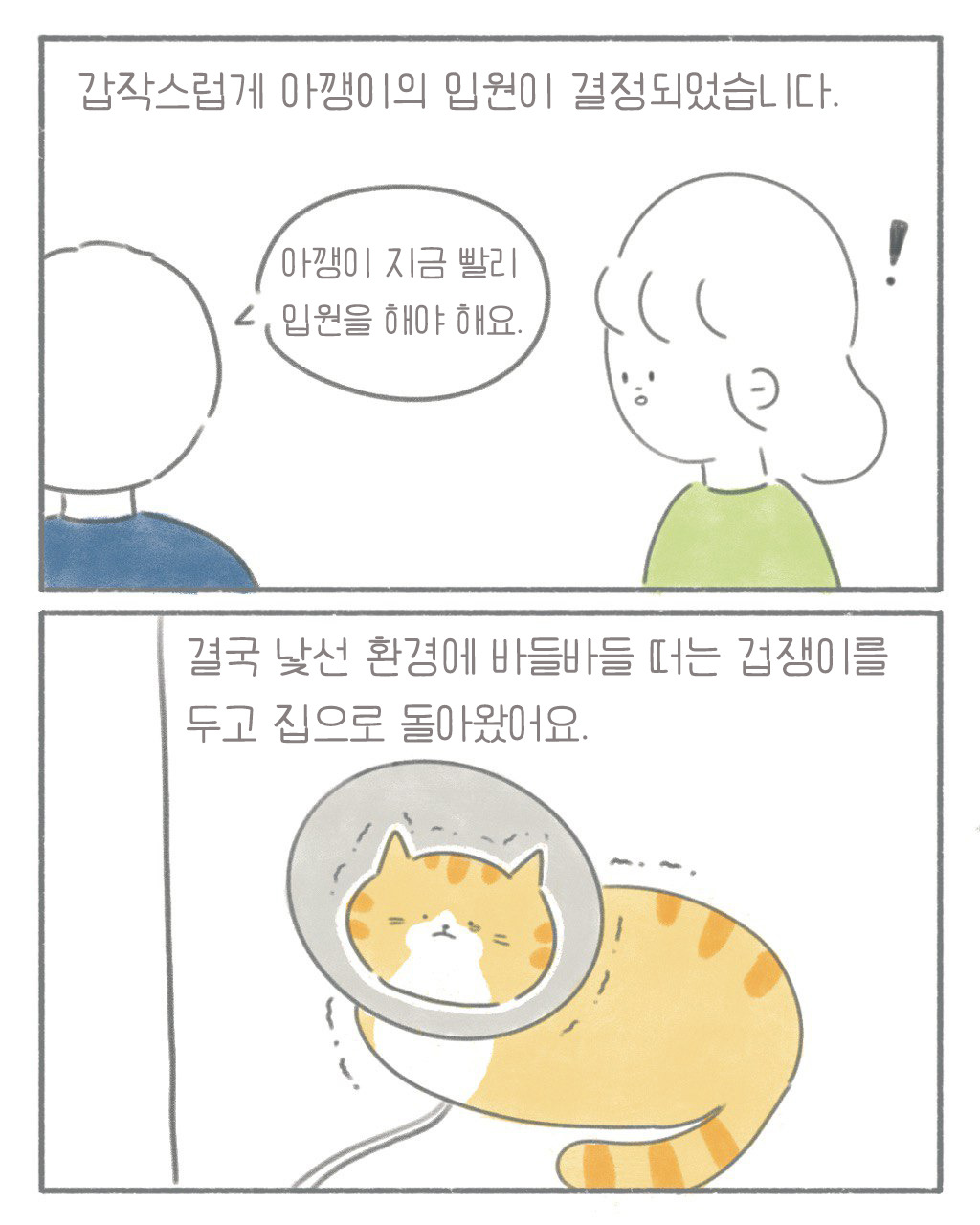 카지노 쿠폰