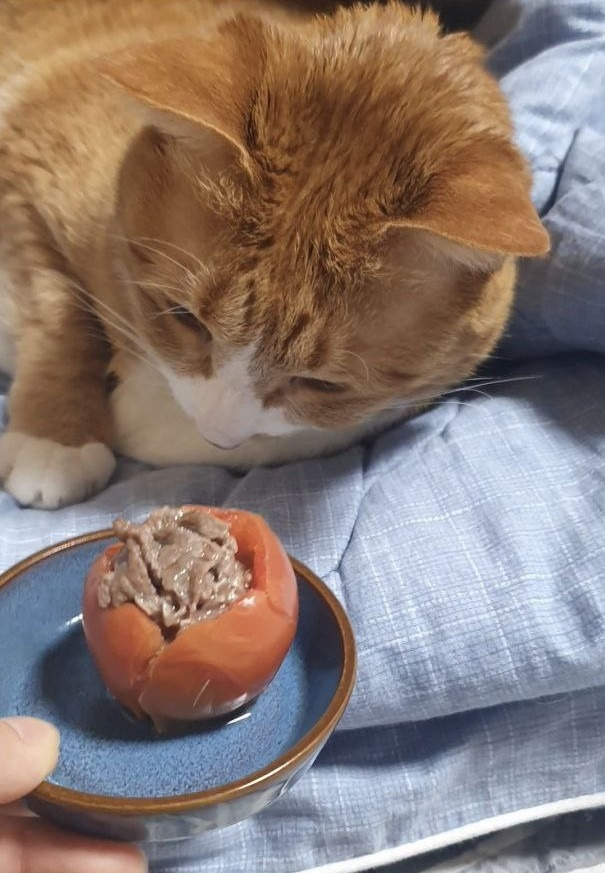 photo_2023-07-17_23-52-46 (3).jpg