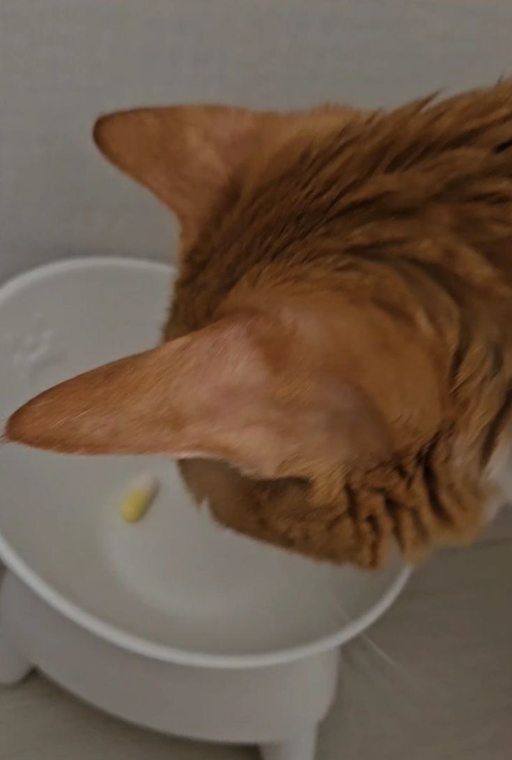 photo_2025-05-23_13-51-13 (3).jpg