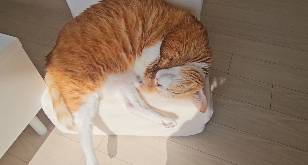 photo_2025-04-10_08-55-17 (2).jpg