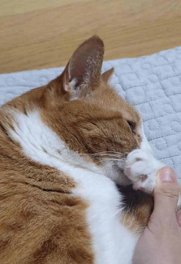 photo_2023-07-27_22-06-28 (4).jpg