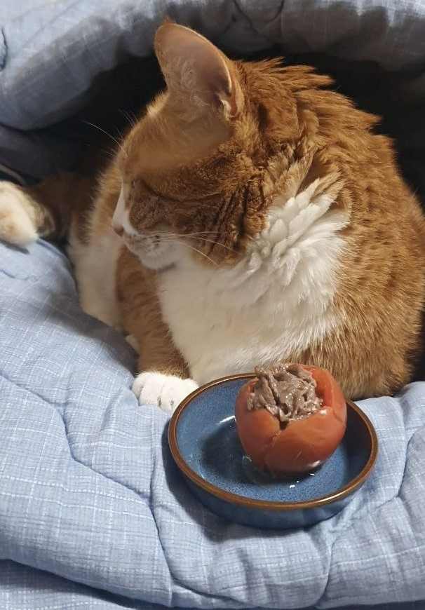 photo_2023-07-17_23-52-46 (2).jpg