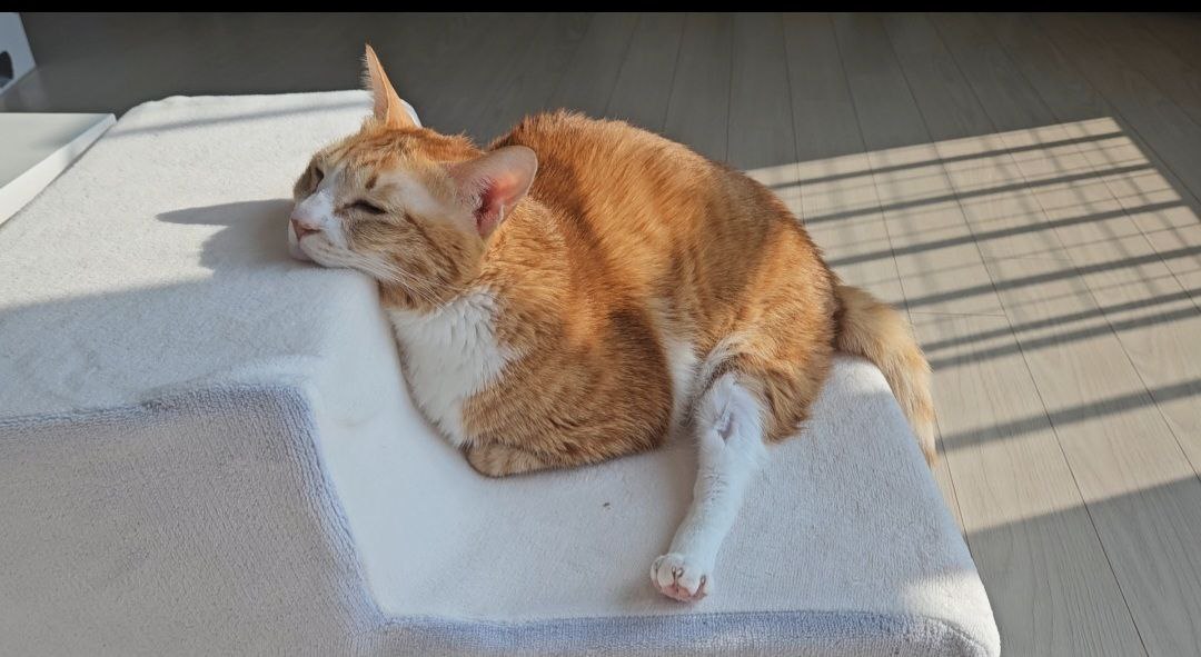 photo_2025-04-10_08-55-17 (3).jpg