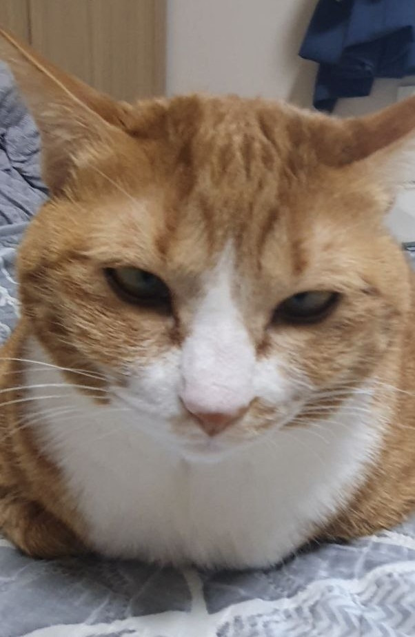 photo_2022-12-27_22-48-34 (2).jpg