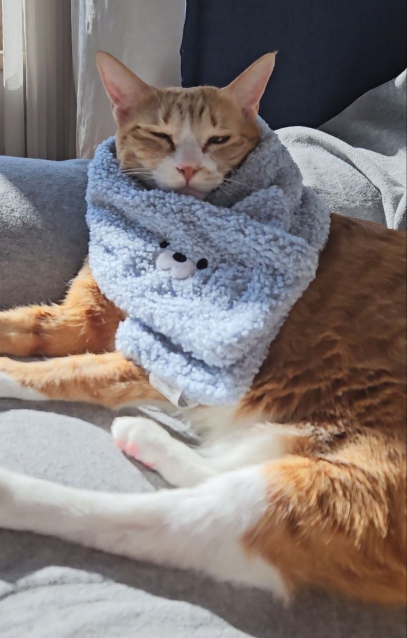 photo_2024-04-30_00-02-44 (2).jpg