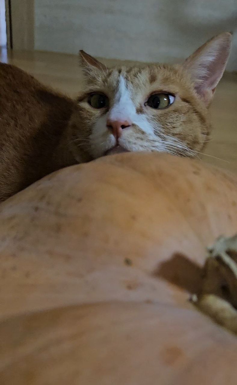 photo_2024-04-14_21-10-25 (4).jpg