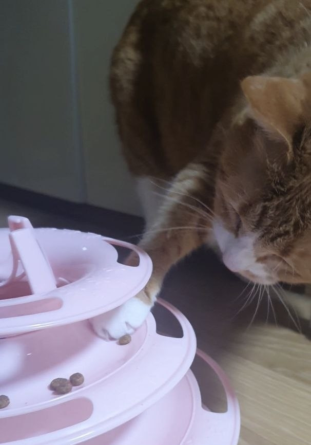 photo_2023-06-02_00-51-31 (4).jpg