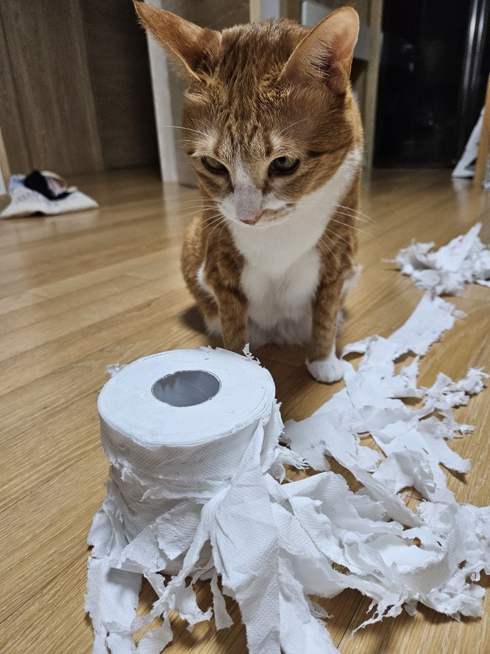 photo_2023-12-28_22-57-14 (2).jpg