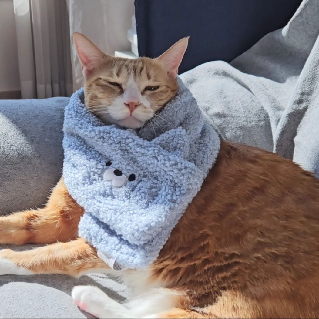 photo_2024-04-30_00-02-45 (3).jpg