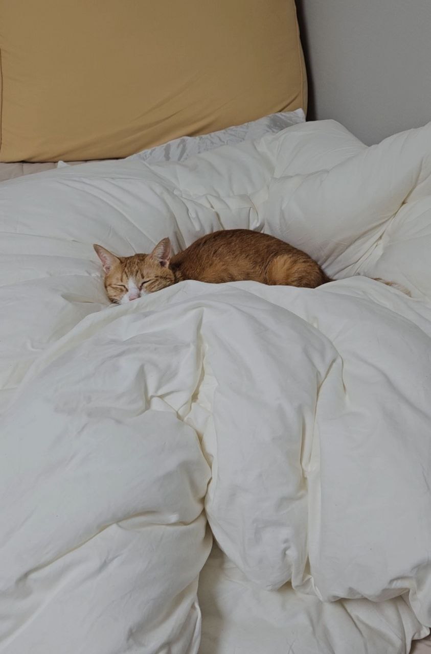 photo_2025-10-22_15-42-07 (2).jpg