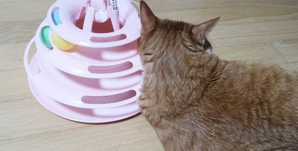 photo_2023-06-02_00-51-31 (2).jpg