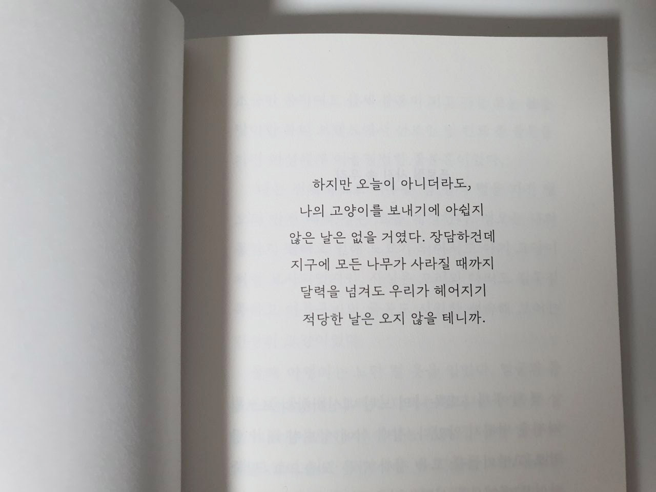 photo_2022-04-11_00-10-11 (3).jpg