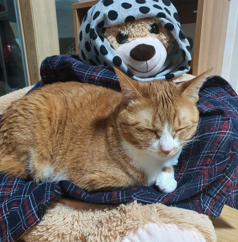 photo_2022-05-03_22-03-47 (2).jpg