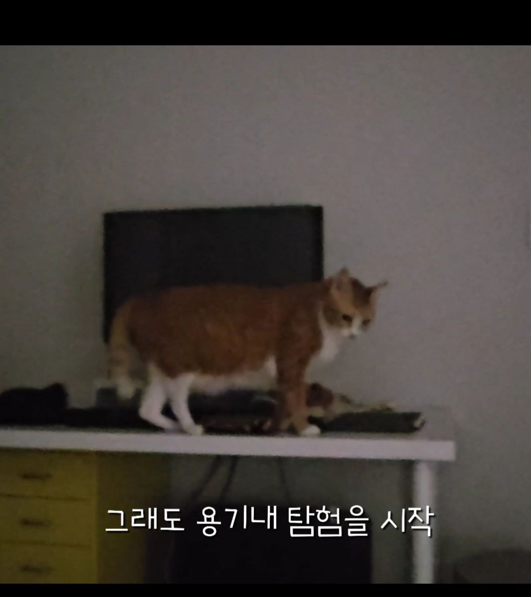 photo_2024-09-30_18-44-35 (3).jpg