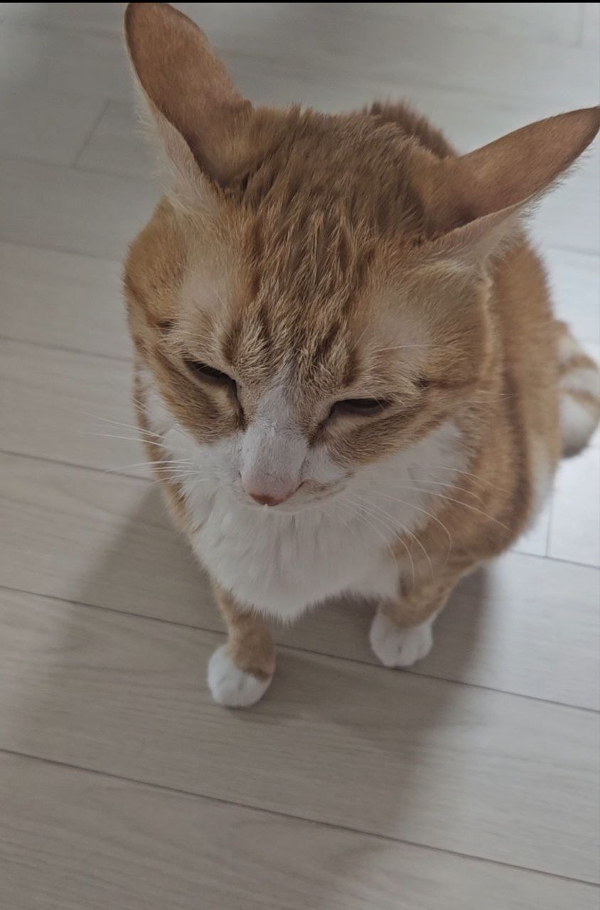 photo_2025-04-14_19-33-56 (3).jpg