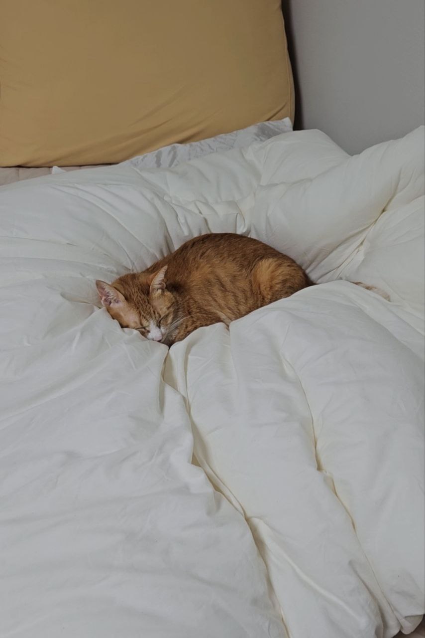 photo_2025-10-22_15-42-07 (3).jpg