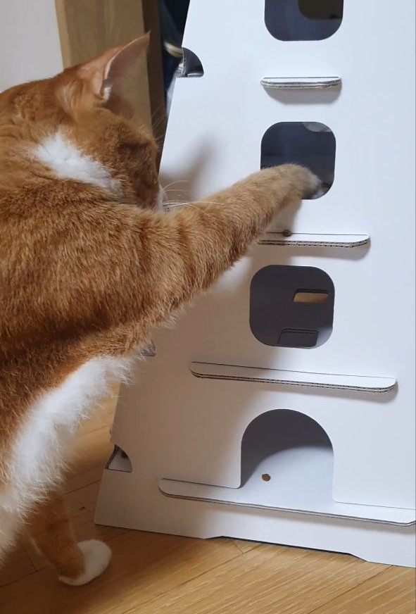 photo_2023-10-18_15-13-29 (4).jpg