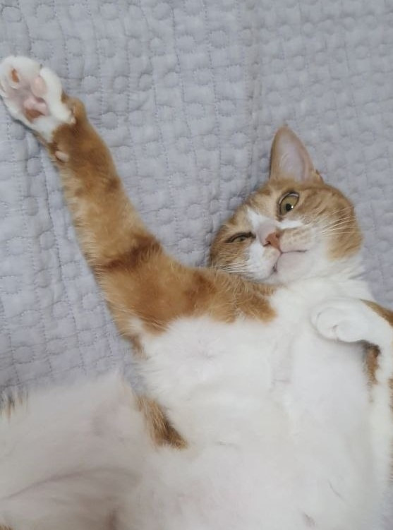 photo_2023-06-15_22-36-22 (3).jpg