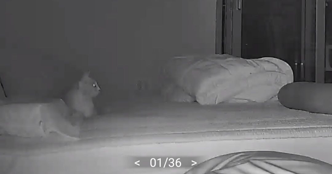 photo_2024-12-08_21-21-04 (2).jpg