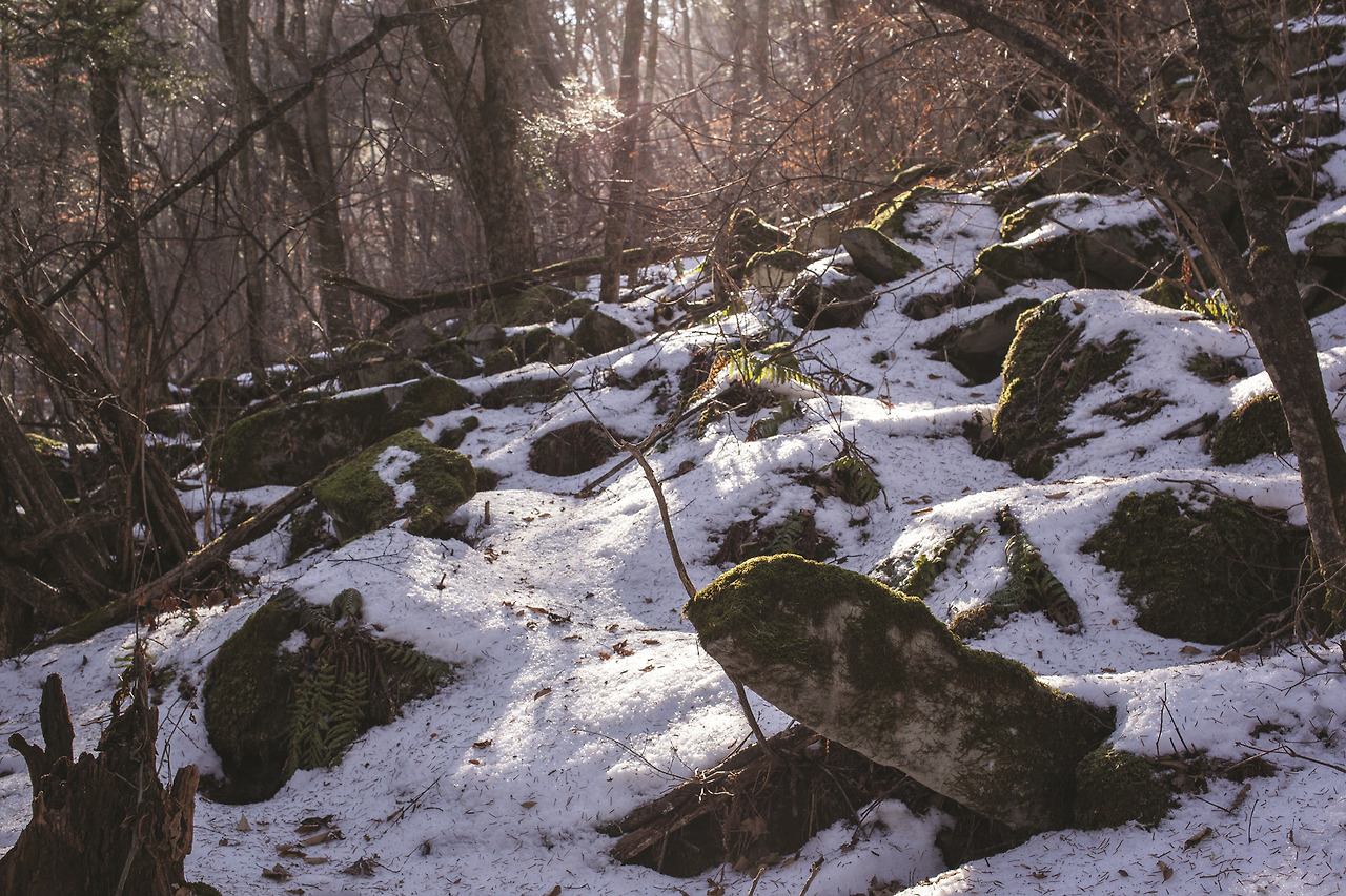 더멀리 가리왕산 (3).jpg