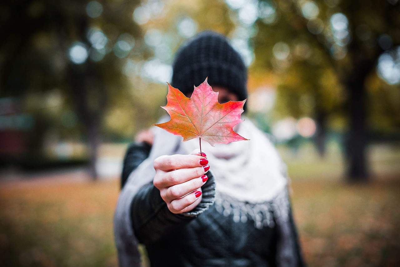 young-girl-holding-autumn-colored-maple-leaf-2-2210x1473.jpg